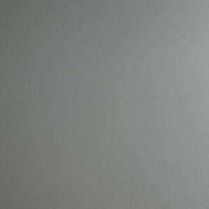 Meet your Posher, Ricky